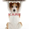 Tische-KARE Design Beistelltisch Animal Mr Jack O33Cm