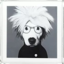 Bilder-KARE Design Bild Frame Mirror Artist Dog 60X60