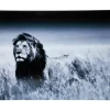 Bilder-KARE Design Bild Glas Lion King Standing 160X120Cm