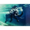 Bilder-KARE Design Bild Glas Swimming Elephant 180X120Cm