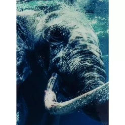 Bilder-KARE Design Bild Glas Swimming Elephant 180X120Cm