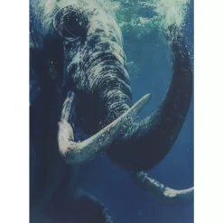 Bilder-KARE Design Bild Glas Swimming Elephant 180X120Cm