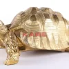 Deko & Geschenkartikel-KARE Design Deko Figur Turtle Gold Gros