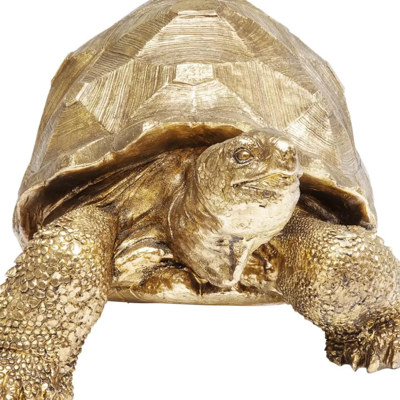 Deko & Geschenkartikel-KARE Design Deko Figur Turtle Gold Medium