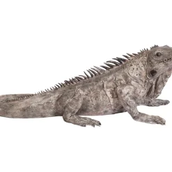 Deko & Geschenkartikel-KARE Design Deko Objekt Iguana 135Cm