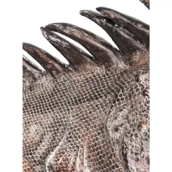 Deko & Geschenkartikel-KARE Design Deko Objekt Iguana 135Cm