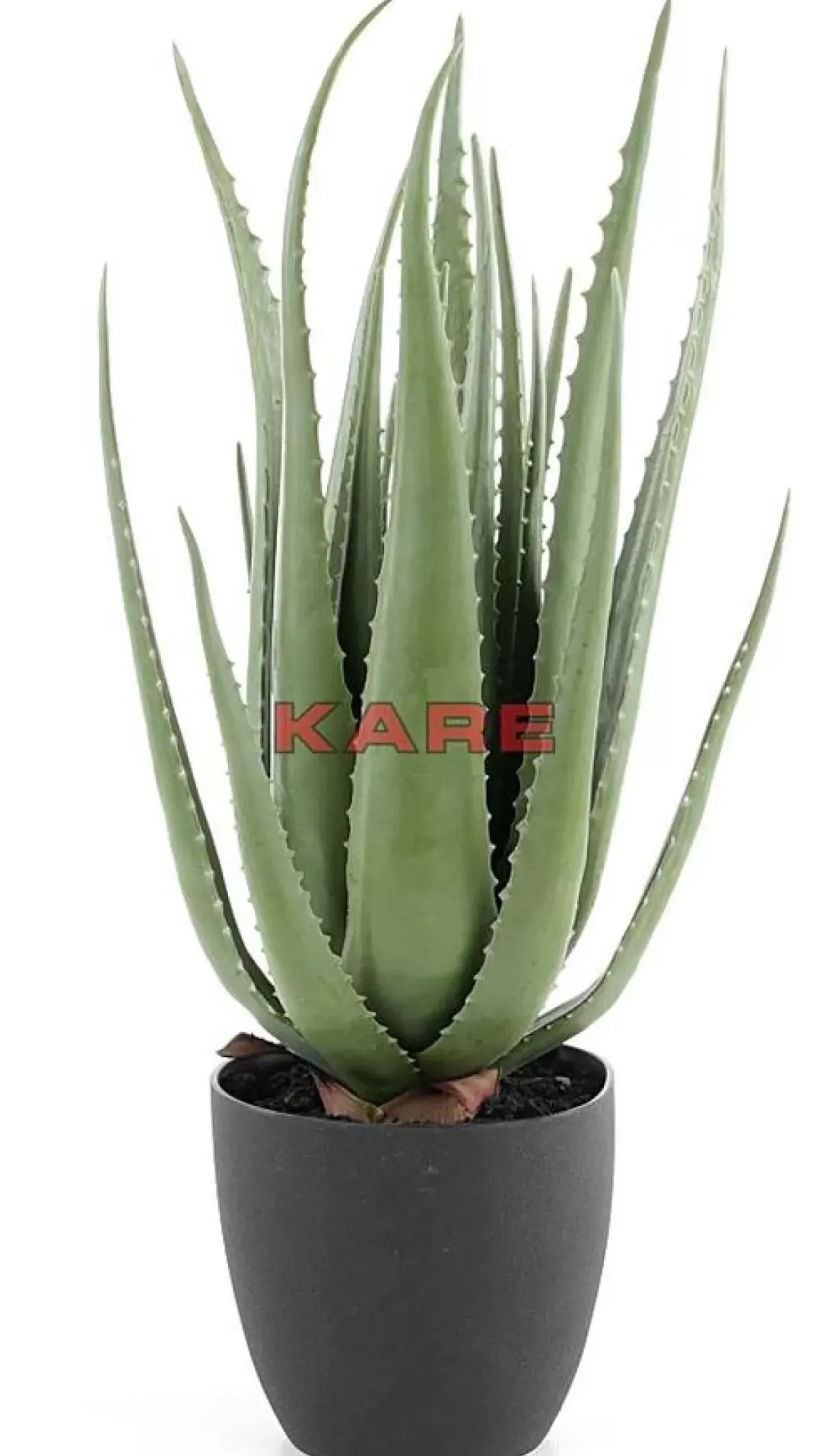 Deko & Geschenkartikel-KARE Design Deko Pflanze Aloe 69Cm