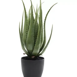 Deko & Geschenkartikel-KARE Design Deko Pflanze Aloe 69Cm
