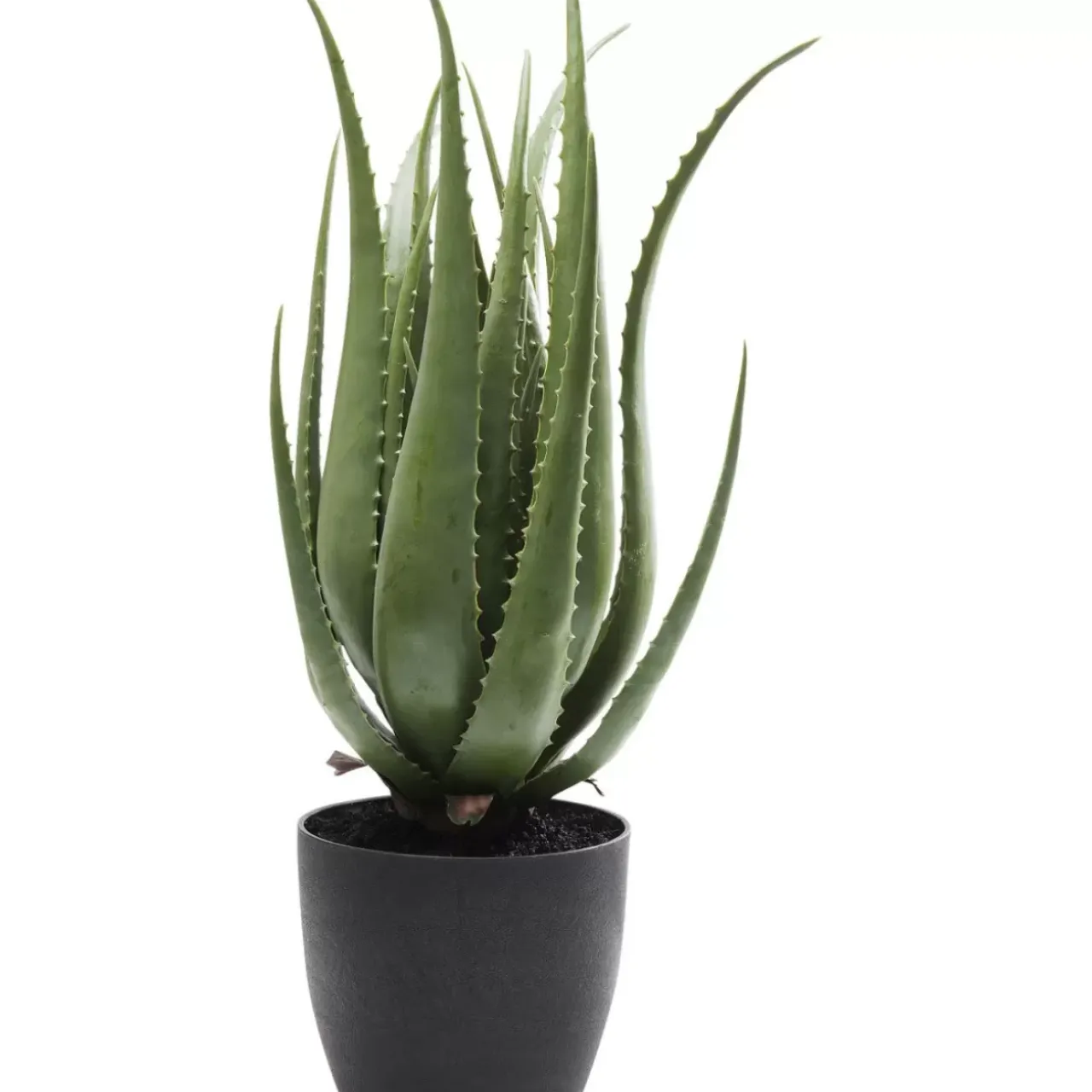 Deko & Geschenkartikel-KARE Design Deko Pflanze Aloe 69Cm