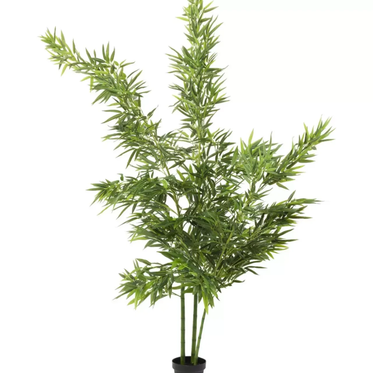 Deko & Geschenkartikel-KARE Design Deko Pflanze Bamboo Tree 200Cm
