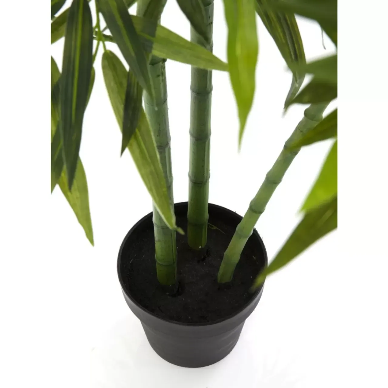 Deko & Geschenkartikel-KARE Design Deko Pflanze Bamboo Tree 200Cm