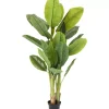 Deko & Geschenkartikel-KARE Design Deko Pflanze Banana Tree 180Cm