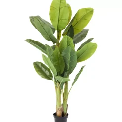 Deko & Geschenkartikel-KARE Design Deko Pflanze Banana Tree 180Cm