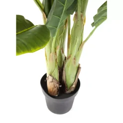 Deko & Geschenkartikel-KARE Design Deko Pflanze Banana Tree 180Cm