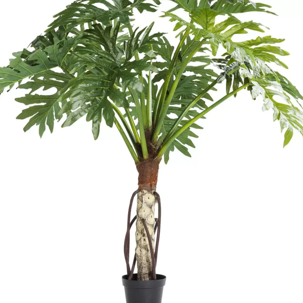 Deko & Geschenkartikel-KARE Design Deko Pflanze Big Monstera 175Cm