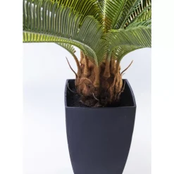Deko & Geschenkartikel-KARE Design Deko Pflanze Cycas Tree 78Cm