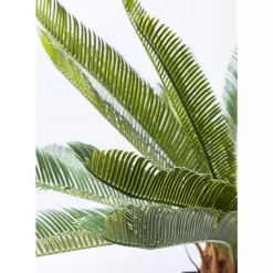 Deko & Geschenkartikel-KARE Design Deko Pflanze Cycas Tree 78Cm