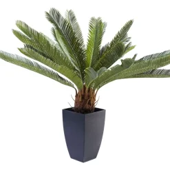 Deko & Geschenkartikel-KARE Design Deko Pflanze Cycas Tree 78Cm