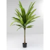 Deko & Geschenkartikel-KARE Design Deko Pflanze Dracaena Fragrans 180Cm