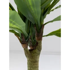 Deko & Geschenkartikel-KARE Design Deko Pflanze Dracaena Fragrans 180Cm