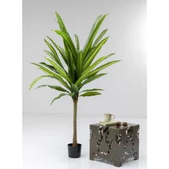 Deko & Geschenkartikel-KARE Design Deko Pflanze Dracaena Fragrans 180Cm