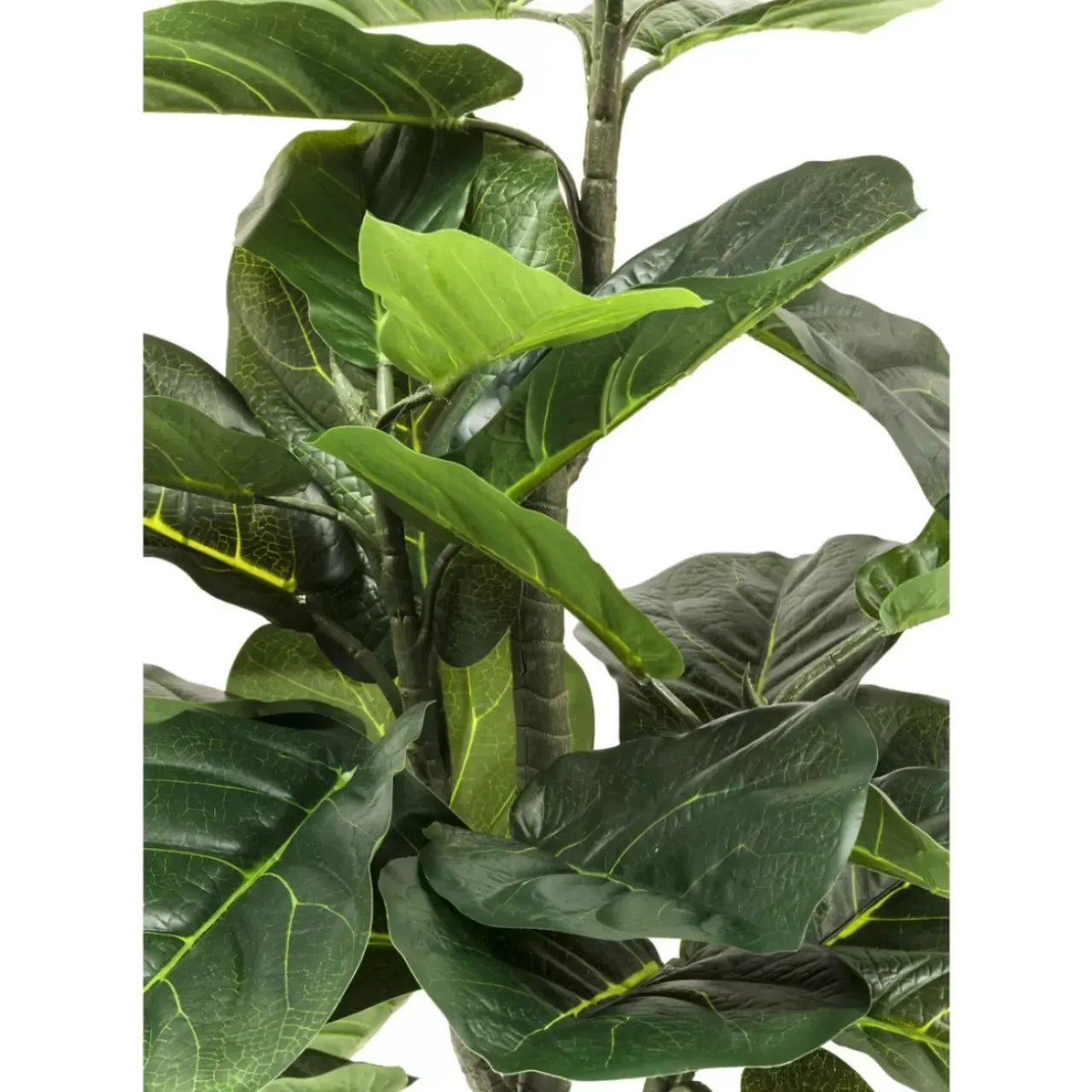 Deko & Geschenkartikel-KARE Design Deko Pflanze Fiddle Leaf 120Cm