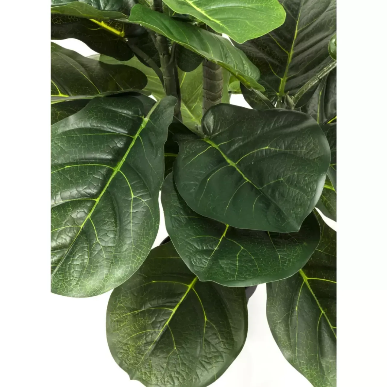 Deko & Geschenkartikel-KARE Design Deko Pflanze Fiddle Leaf 120Cm