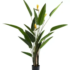 Deko & Geschenkartikel-KARE Design Deko Pflanze Paradise Flowers 190