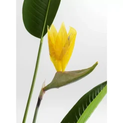 Deko & Geschenkartikel-KARE Design Deko Pflanze Paradise Flowers 190