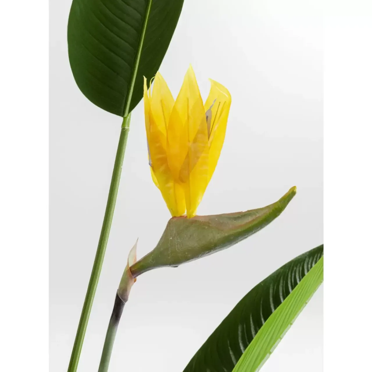 Deko & Geschenkartikel-KARE Design Deko Pflanze Paradise Flowers 190