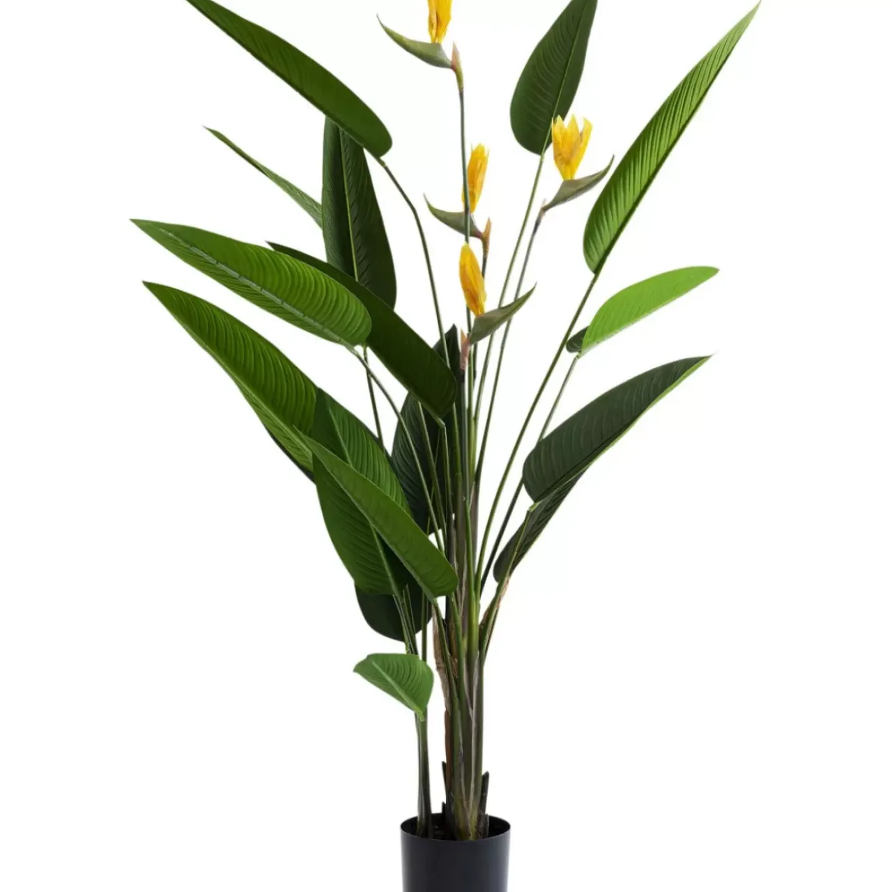 Deko & Geschenkartikel-KARE Design Deko Pflanze Paradise Flowers 190