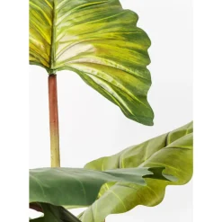 Deko & Geschenkartikel-KARE Design Deko Pflanze Rainforest Green 160Cm