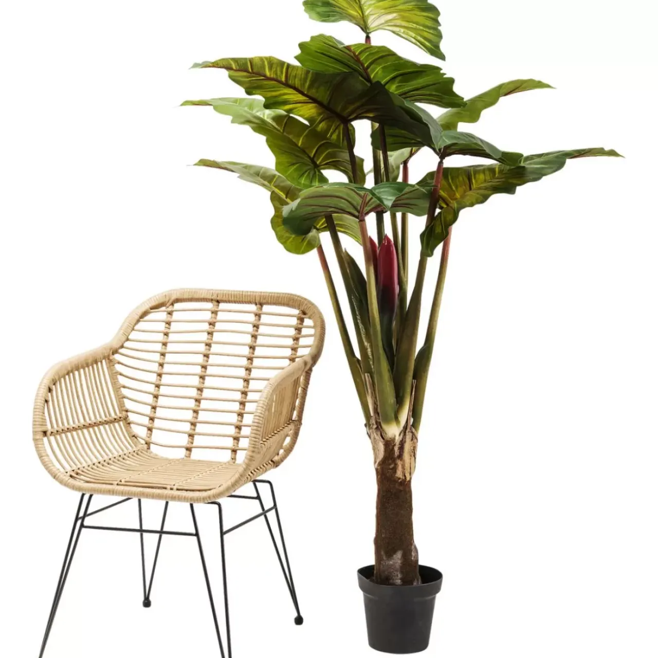 Deko & Geschenkartikel-KARE Design Deko Pflanze Rainforest Green 160Cm
