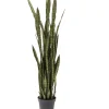 Deko & Geschenkartikel-KARE Design Deko Pflanze Sansewieria 155Cm