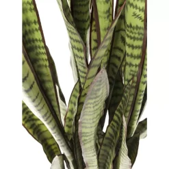 Deko & Geschenkartikel-KARE Design Deko Pflanze Sansewieria 155Cm