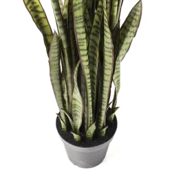 Deko & Geschenkartikel-KARE Design Deko Pflanze Sansewieria 155Cm