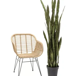 Deko & Geschenkartikel-KARE Design Deko Pflanze Sansewieria 155Cm