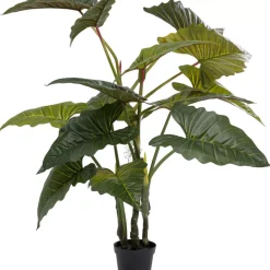 Deko & Geschenkartikel-KARE Design Deko Pflanze Taro 180