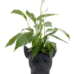 Aufbewahrung & Ordnung-KARE Design Deko Ubertopf Bulldog Schwarz