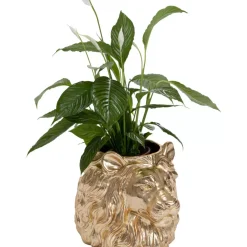 Aufbewahrung & Ordnung-KARE Design Deko Ubertopf Lion Gold