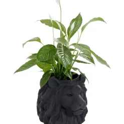 Aufbewahrung & Ordnung-KARE Design Deko Ubertopf Lion Schwarz