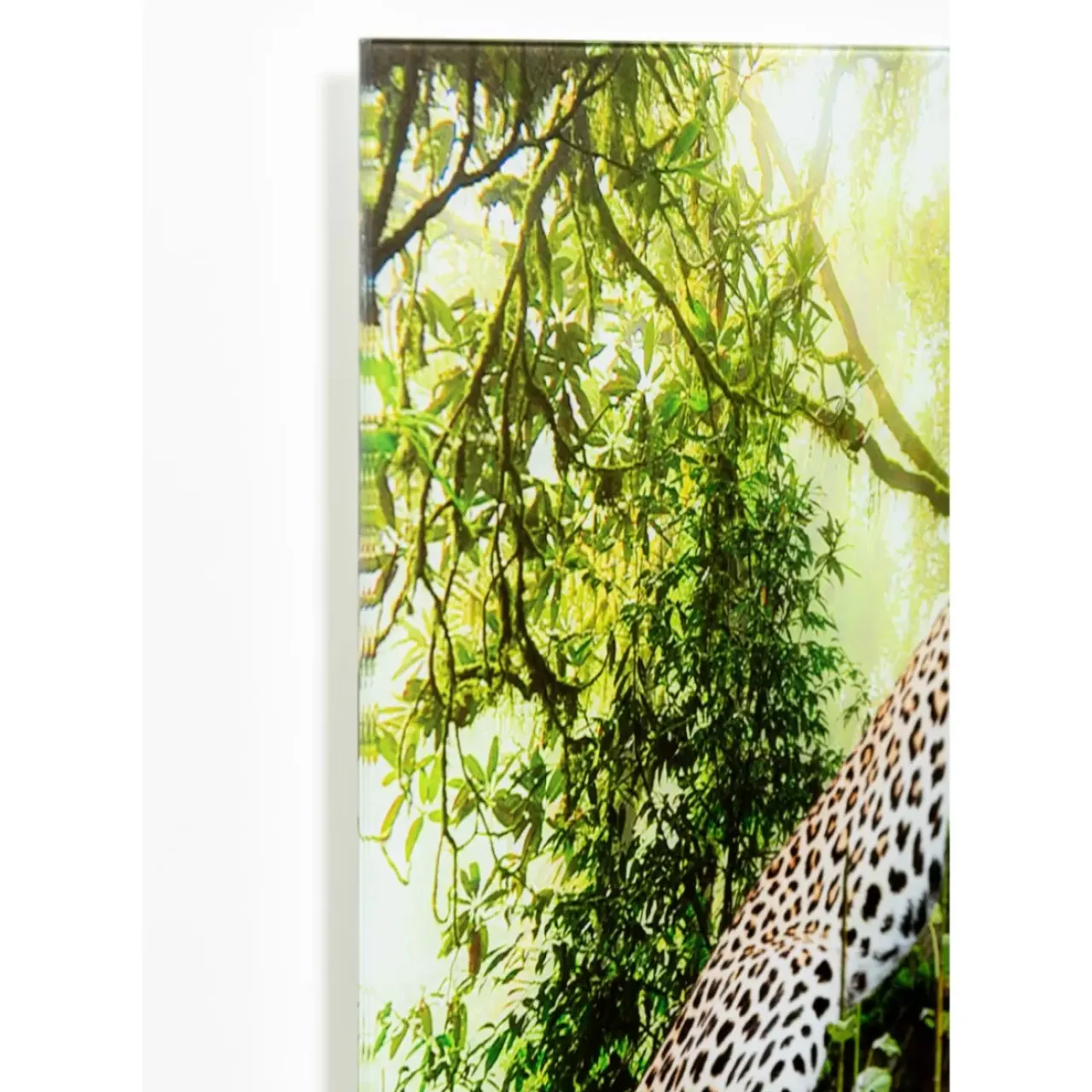 Bilder-KARE Design Glasbild Animal Paradise 150X100Cm