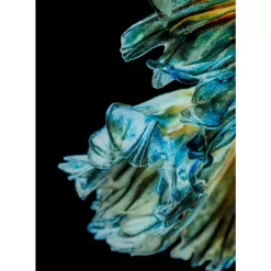 Bilder-KARE Design Glasbild Aqua Queen Fish 100X100Cm