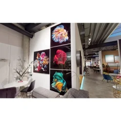 Bilder-KARE Design Glasbild Aqua Queen Fish 100X100Cm