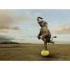 Bilder-KARE Design Glasbild Balance Elephant 150X100Cm