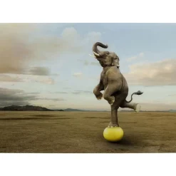Bilder-KARE Design Glasbild Balance Elephant 150X100Cm