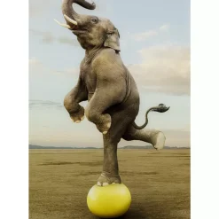 Bilder-KARE Design Glasbild Balance Elephant 150X100Cm