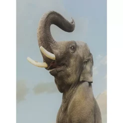 Bilder-KARE Design Glasbild Balance Elephant 150X100Cm