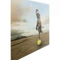 Bilder-KARE Design Glasbild Balance Elephant 150X100Cm