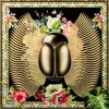 Bilder-KARE Design Glasbild Beetle Flower 100X100Cm